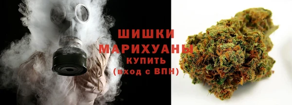 прущие грибы Абаза