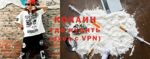 прущие грибы Абаза