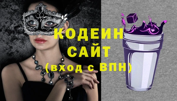 прущие грибы Абаза