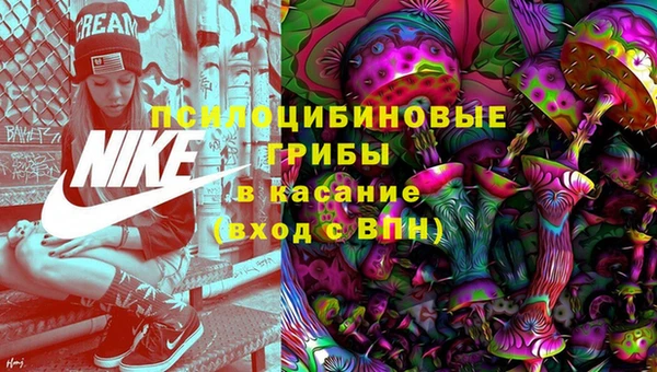 прущие грибы Абаза