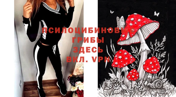 прущие грибы Абаза