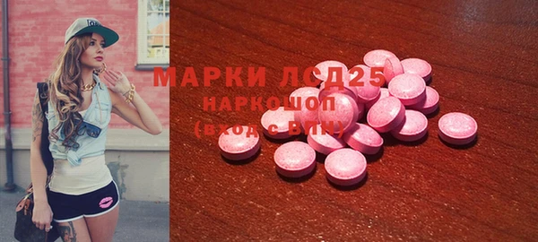 прущие грибы Абаза