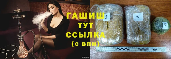 прущие грибы Абаза