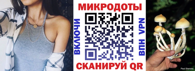 Псилоцибиновые грибы Cubensis  Приволжский 